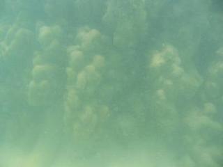2004-05-29 16:16:13