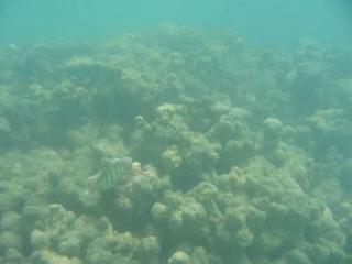 2004-05-29 16:16:13