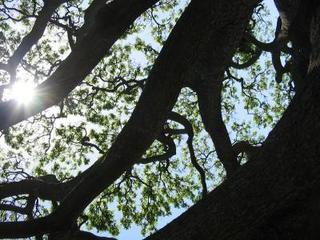 2004-05-29 16:17:07