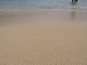 s-IMG_3830_thumb.png