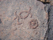 s-DSCN1262_thumb.png