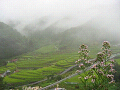 n-IMG_0746_thumb.png