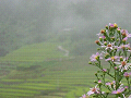 n-IMG_0747_thumb.png