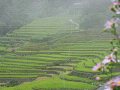 n-IMG_0748_thumb.png