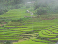 n-IMG_0749_thumb.png