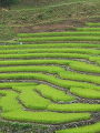 n-IMG_0750_thumb.png
