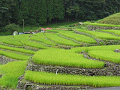 n-IMG_0752_thumb.png