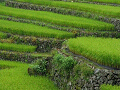n-IMG_0753_thumb.png