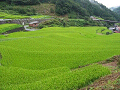 n-IMG_0758_thumb.png