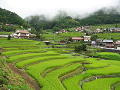 n-IMG_0762_thumb.png
