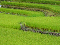 n-IMG_0765_thumb.png