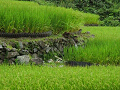 n-IMG_0766_thumb.png