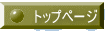トップページ 