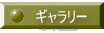 ギャラリー 