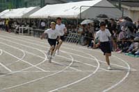 Highslide JS