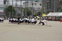 Highslide JS