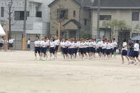Highslide JS