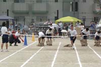 Highslide JS