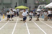 Highslide JS