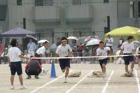 Highslide JS