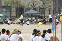Highslide JS