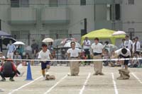 Highslide JS