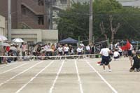 Highslide JS