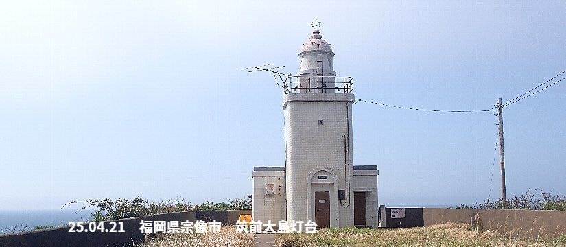 p4210396_825.jpg