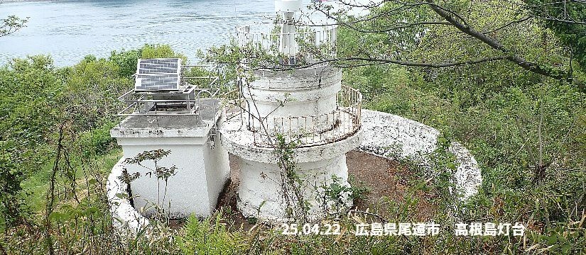 p4220458_825.jpg