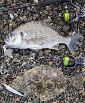 �L�r���E�\�Q