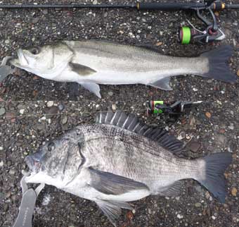 �X�Y�L�E�`�k