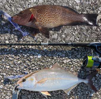 �n�^�E�l�C��