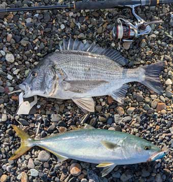 �`�k�E���Y