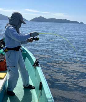 �t�@�C�g��