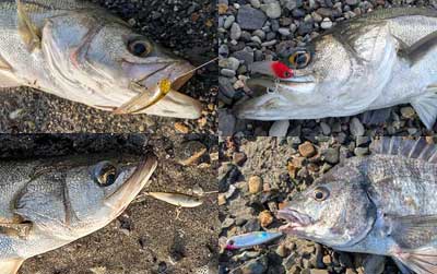 ���A�[���낢��