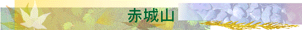 ԏR