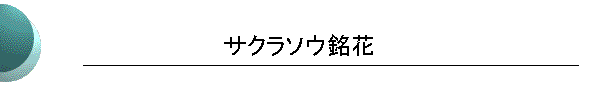 TN\E