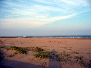 sunahama