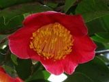 akuninohikar-2