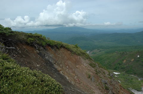 XgR