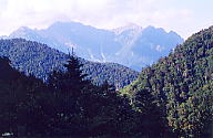 [䍂x