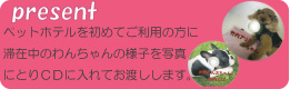 VK̂qlɃv[g