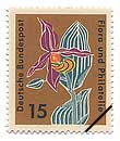 JtgAc\E(wFCypripedium calceolus)