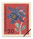 ZCEI_}L(wFAquilegia vulgaris)