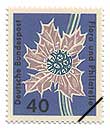 GW[E}eB}(wFEryngium maritimum)