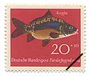 RC(wFCyprinus carpio)