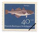 吼m^(wFGadus morhus)