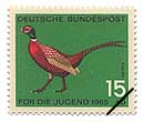 LW(wFPhasianus colchicus)