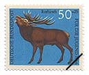 IIWJ(wFCervus elaphus)