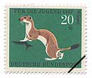 IRW(wFMustela erminea)